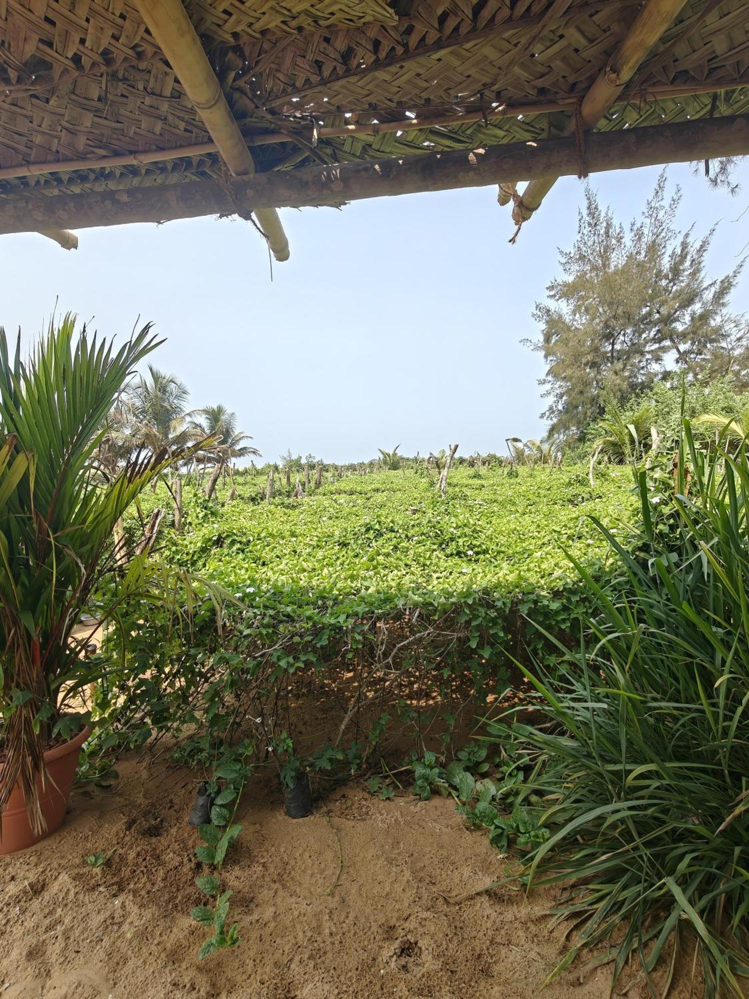 Nakshatra Beach Stay Gokarna  Exterior photo